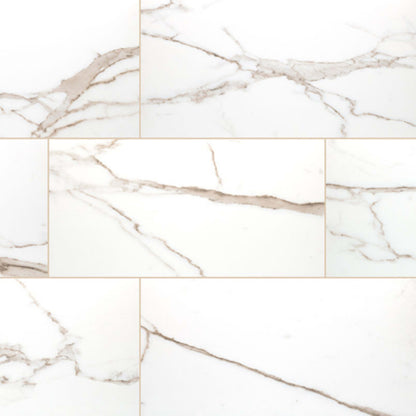 Savoy in Crema - 24x48 Polished Tile