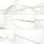 Savoy in Crema - 24x48 Polished Tile