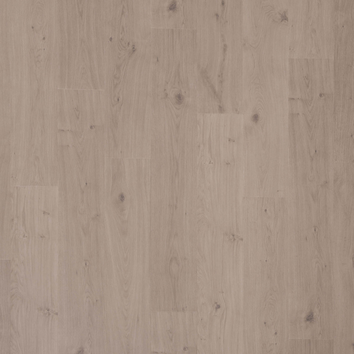 Transom in Sculpture Oak Laminate
