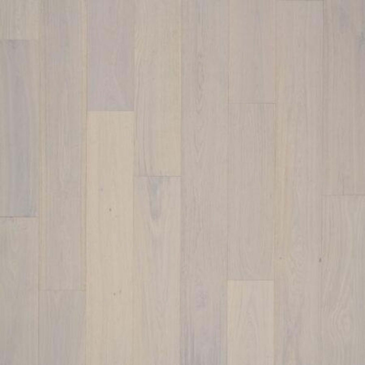 PremierLux in Seaside Oak Luxury Vinyl