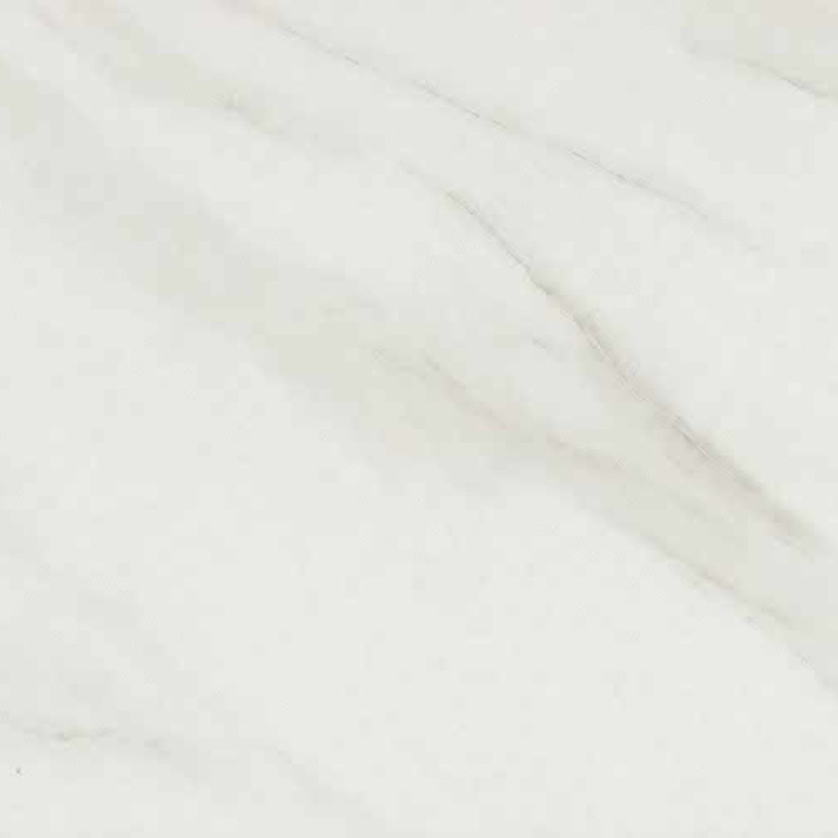 Selwyn in Bianco Calacatta Matte Tile
