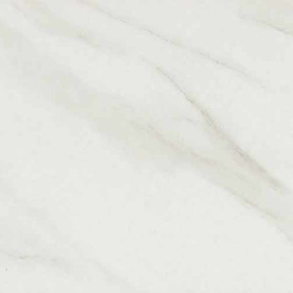 Selwyn in Bianco Calacatta Matte Tile