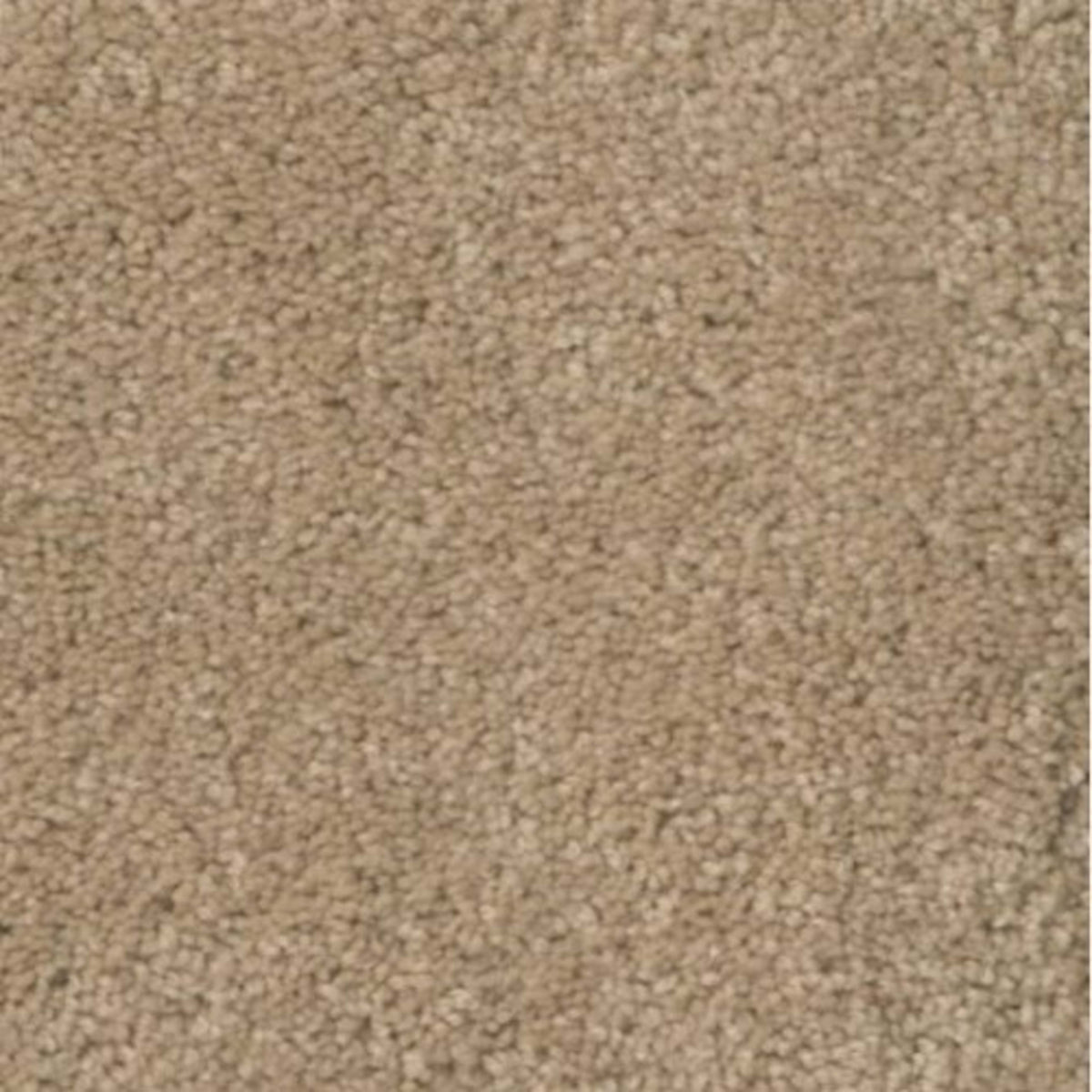 Serenade in Light Dusk Carpet