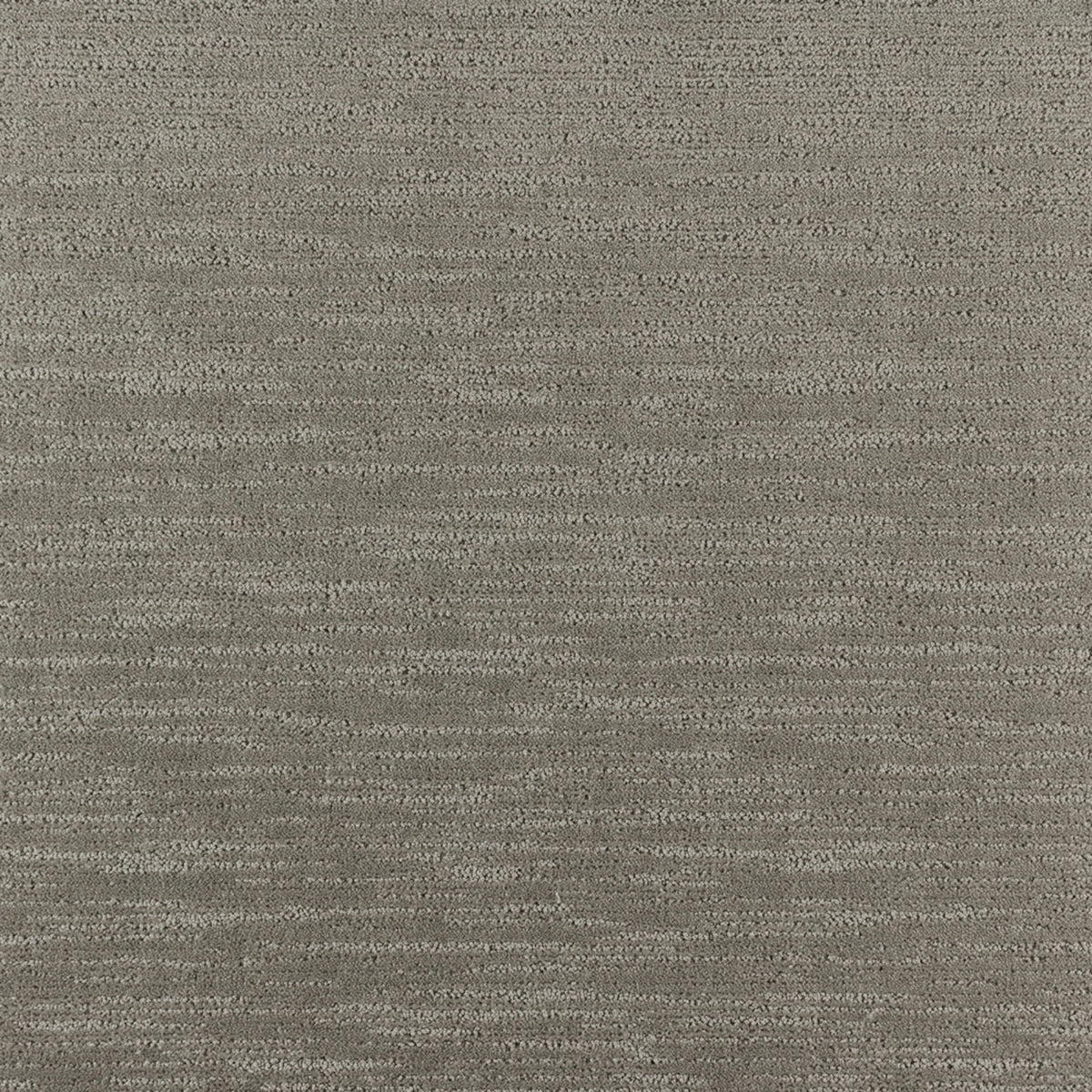 Serene Retreat in Gray Shade Carpet