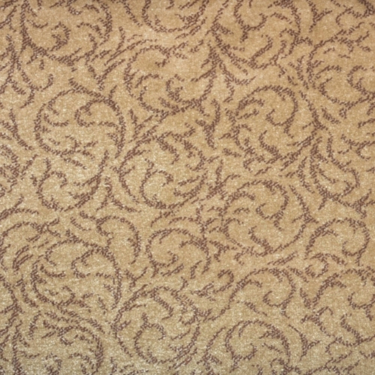 Shining Star in Taupe Carpet