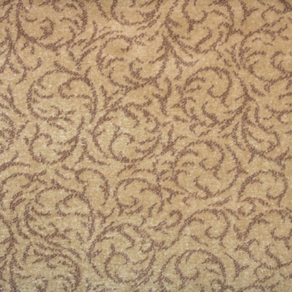 Shining Star in Taupe Carpet