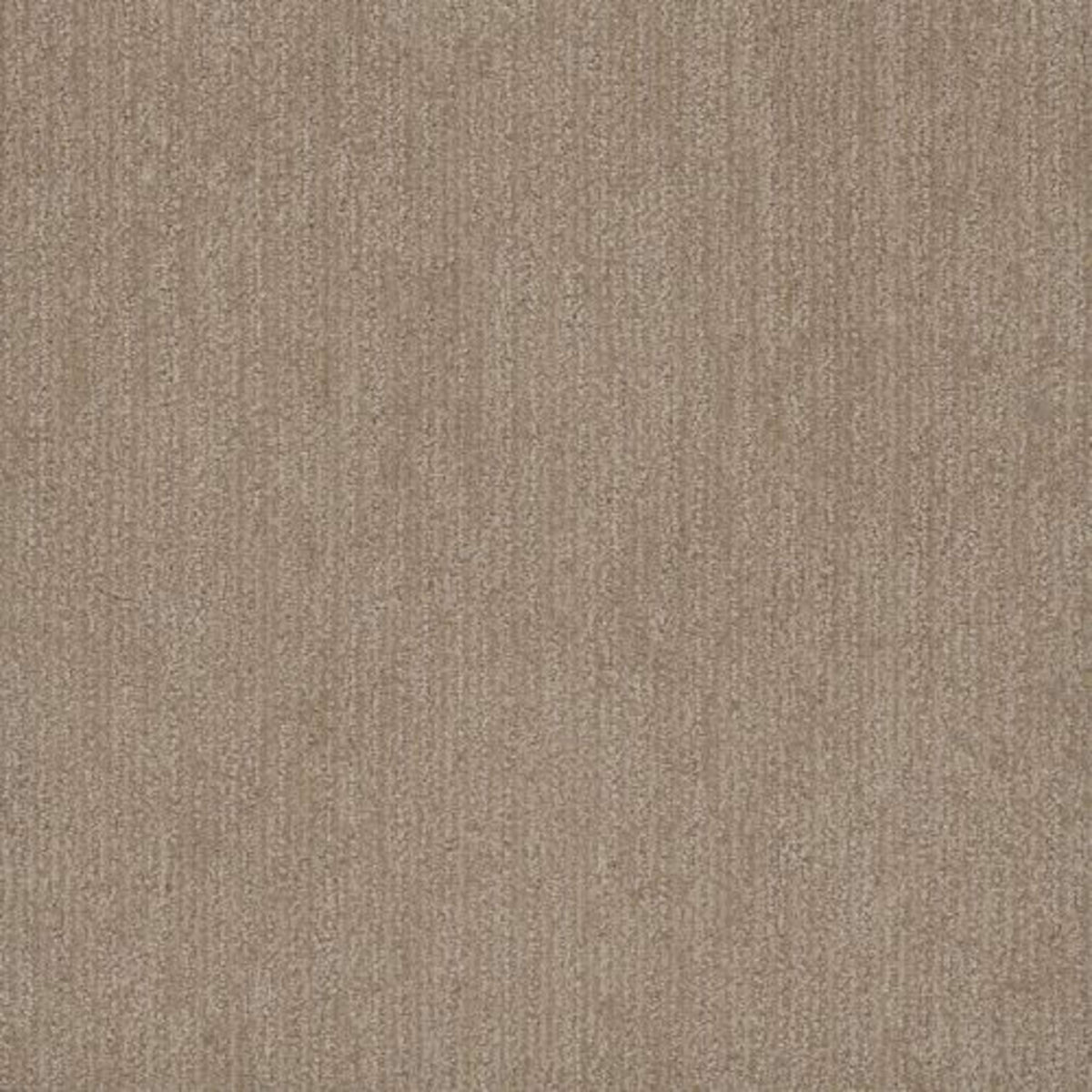 SMOOTH SAILING in Shortbread -179 Carpet