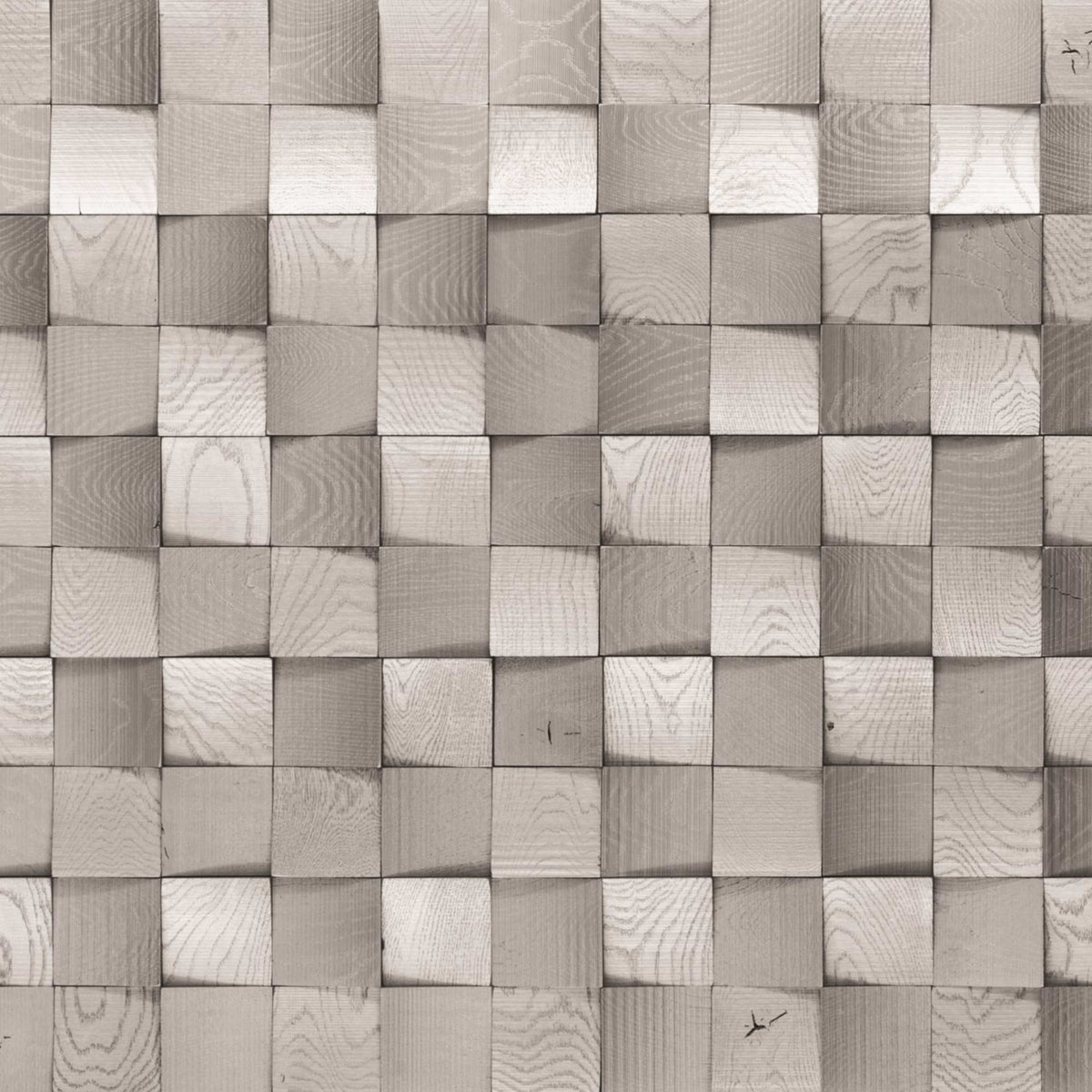 Wall -  Inceptiv - Crest in Silver Hardwood