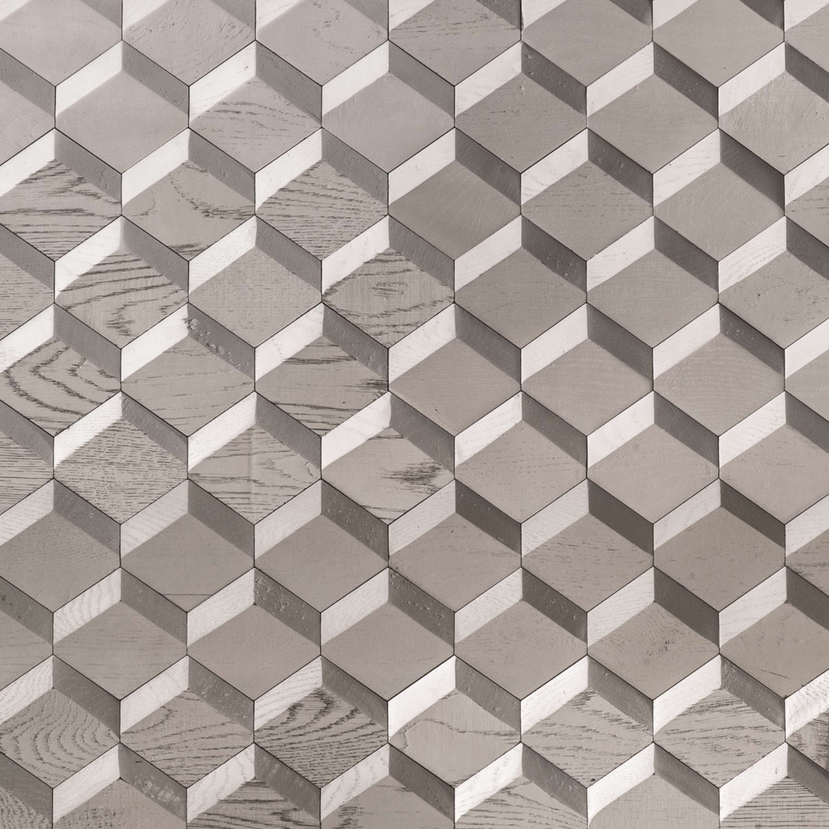 Wall -  Inceptiv - Metamorphosis in Silver Hardwood