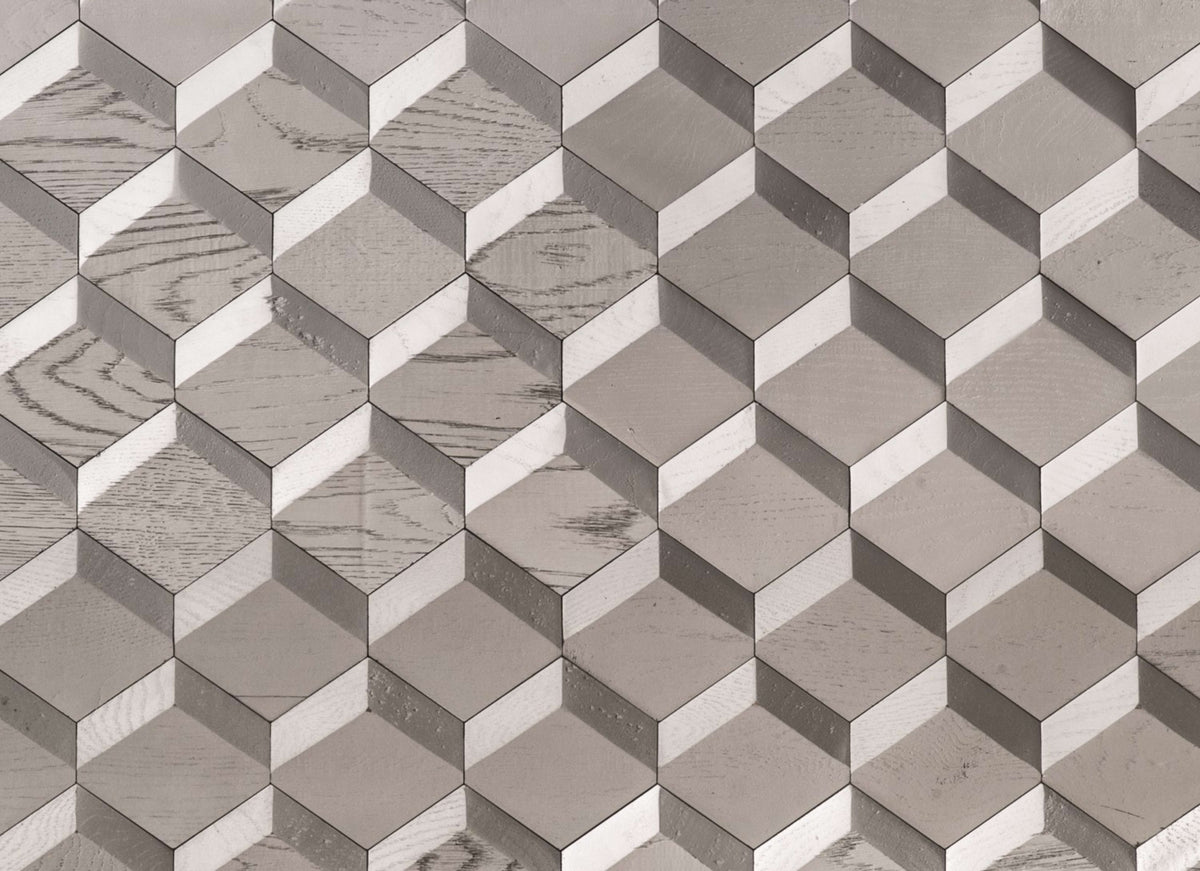 Wall -  Inceptiv - Metamorphosis in Silver