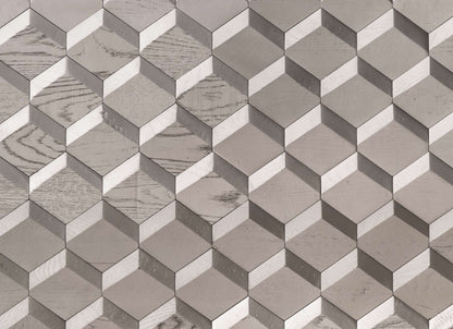 Wall -  Inceptiv - Metamorphosis in Silver