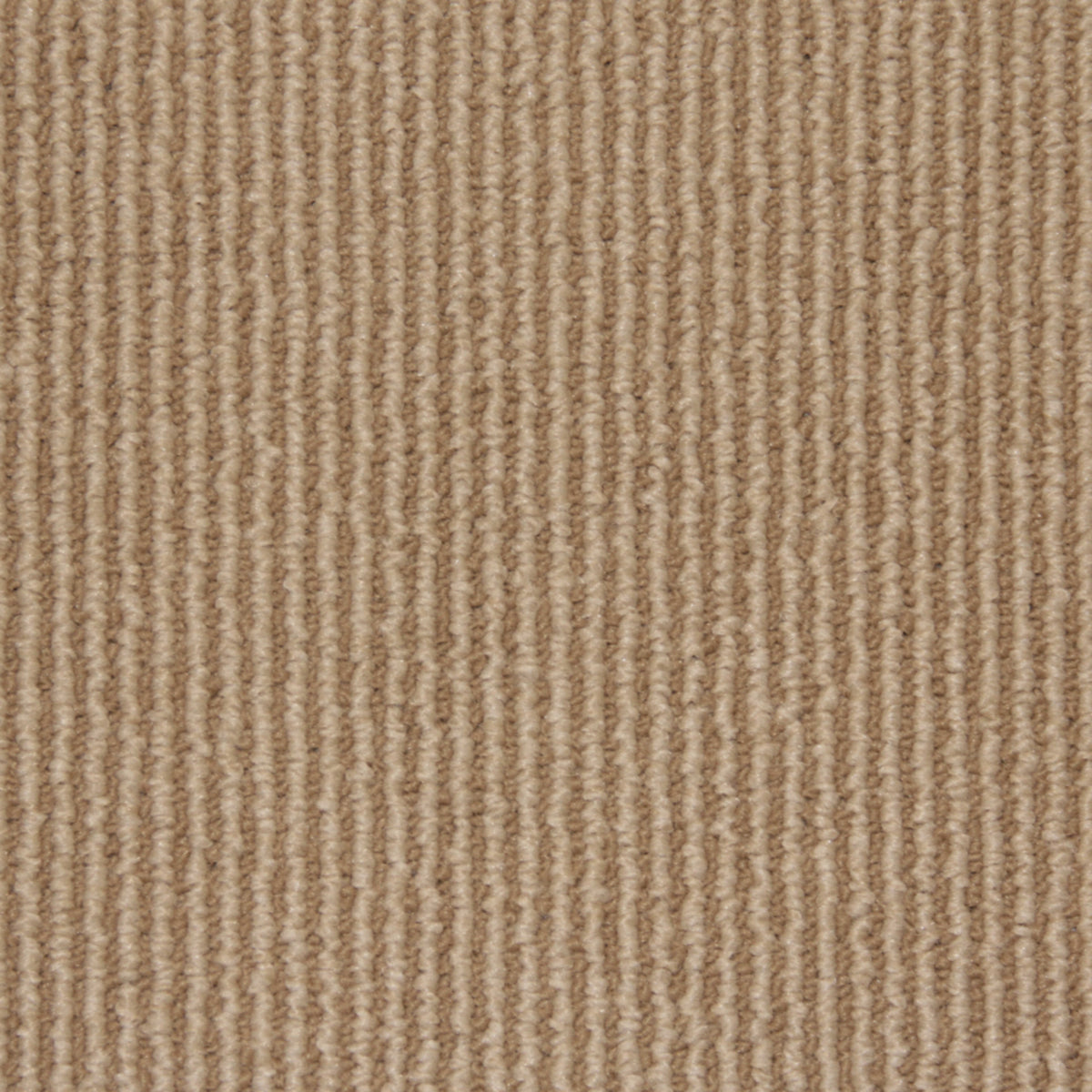Sisal Coir