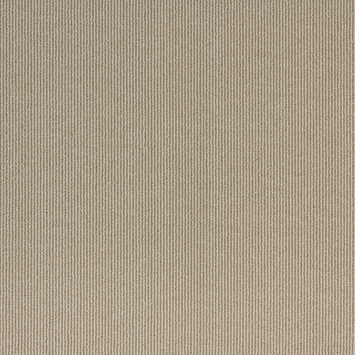Sisal Coir II in Basketweave Carpet