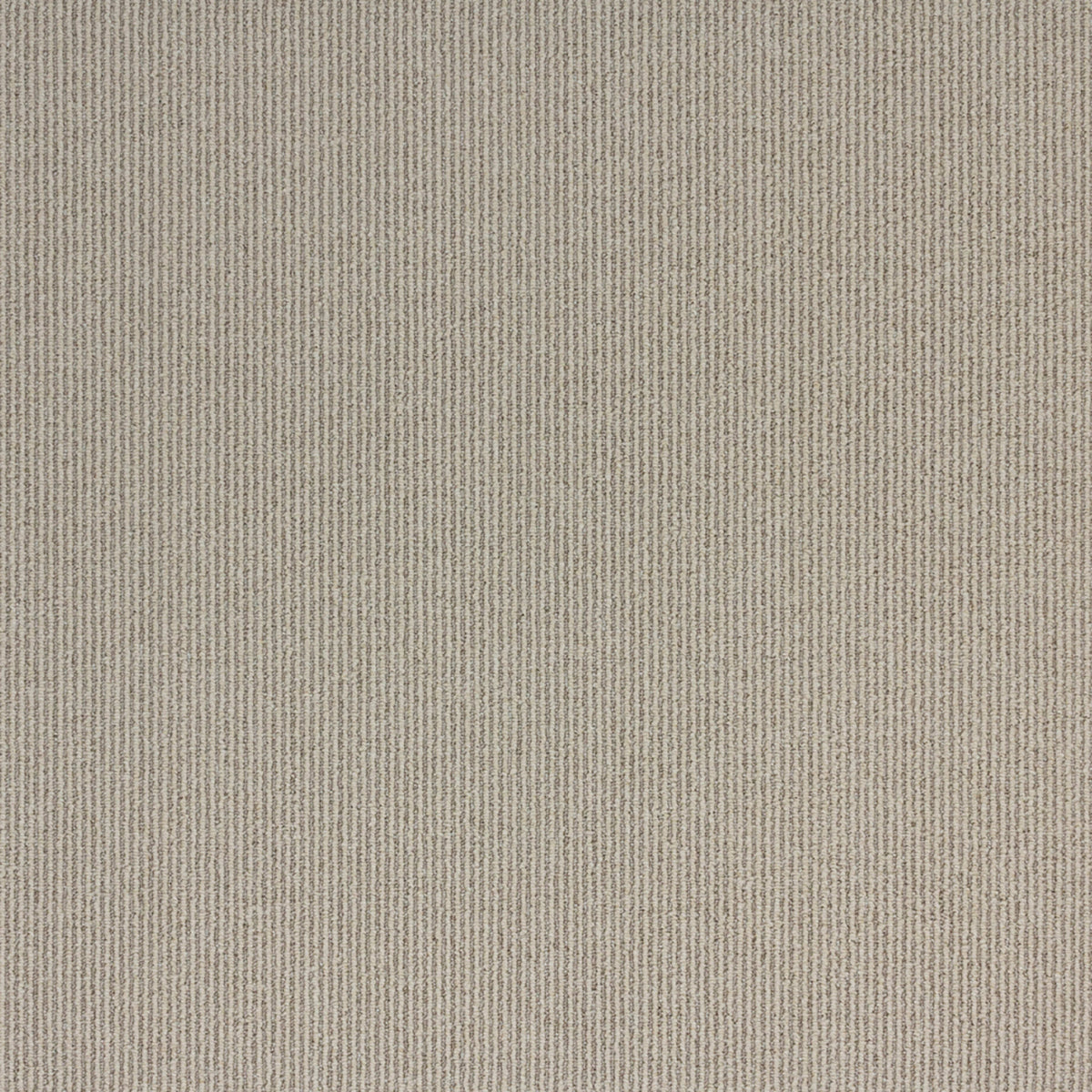 Sisal Coir II