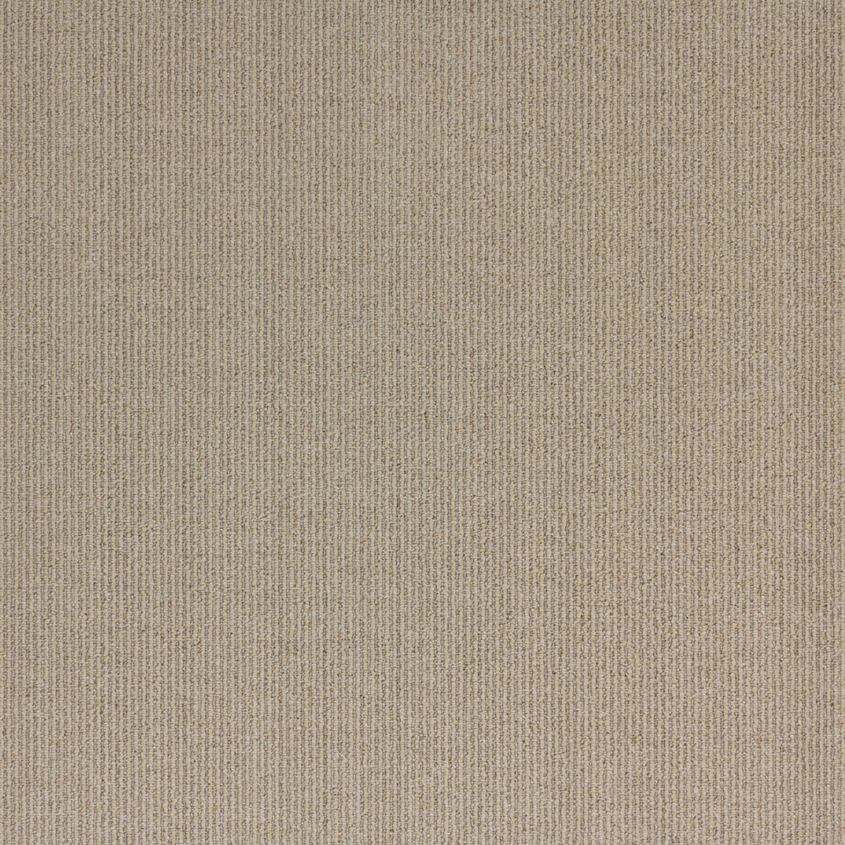 Sisal Coir II