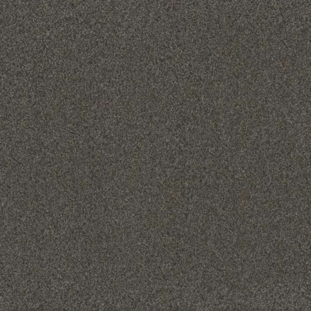 BLAZER I in Smoky Quartz Carpet