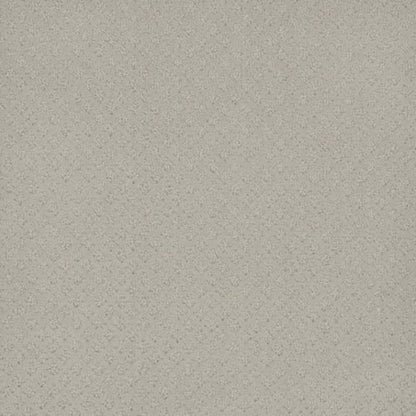 CAPRI in Snow Cap Carpet