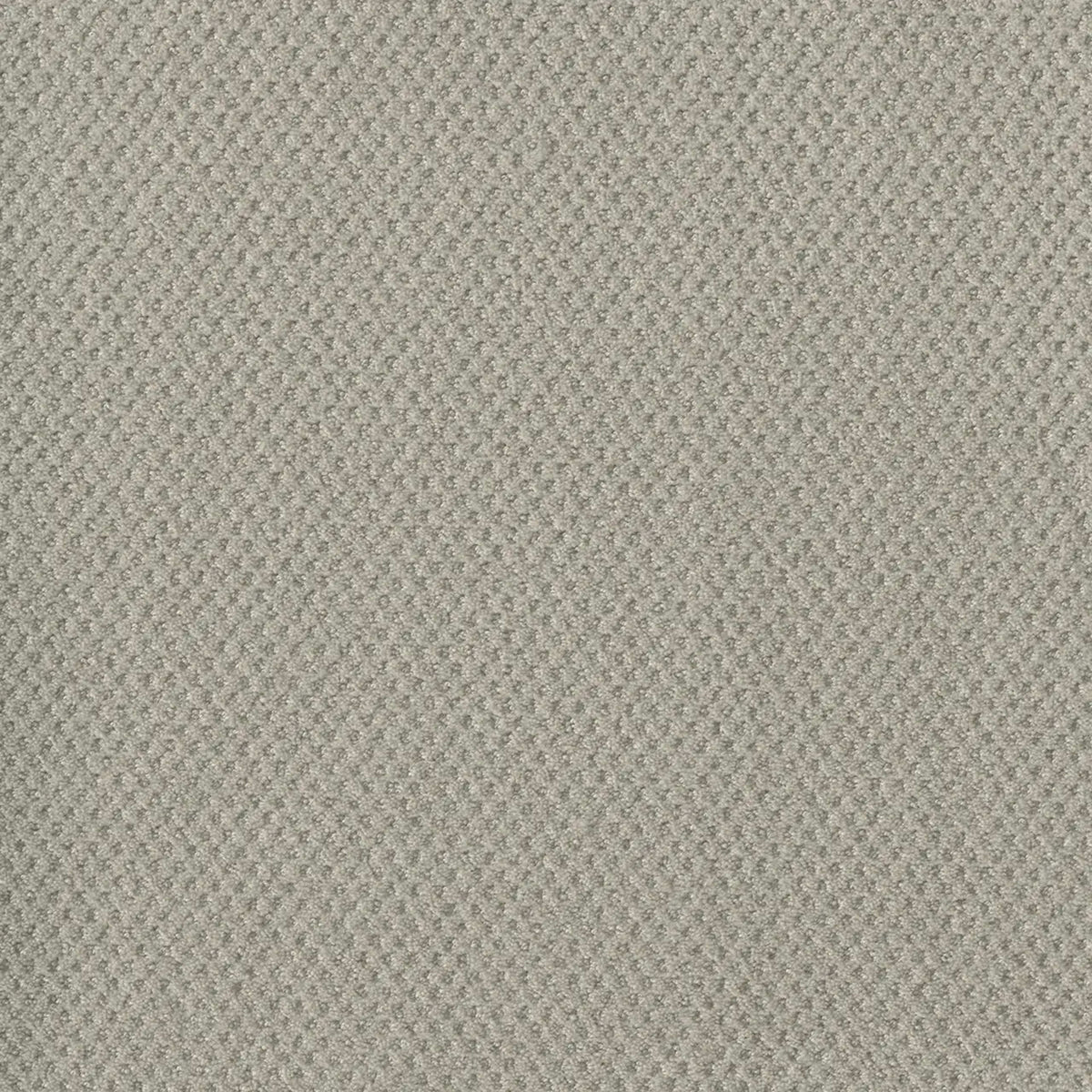 Prime in Snow Cap Carpet