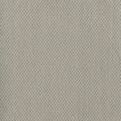 Prime in Snow Cap Carpet