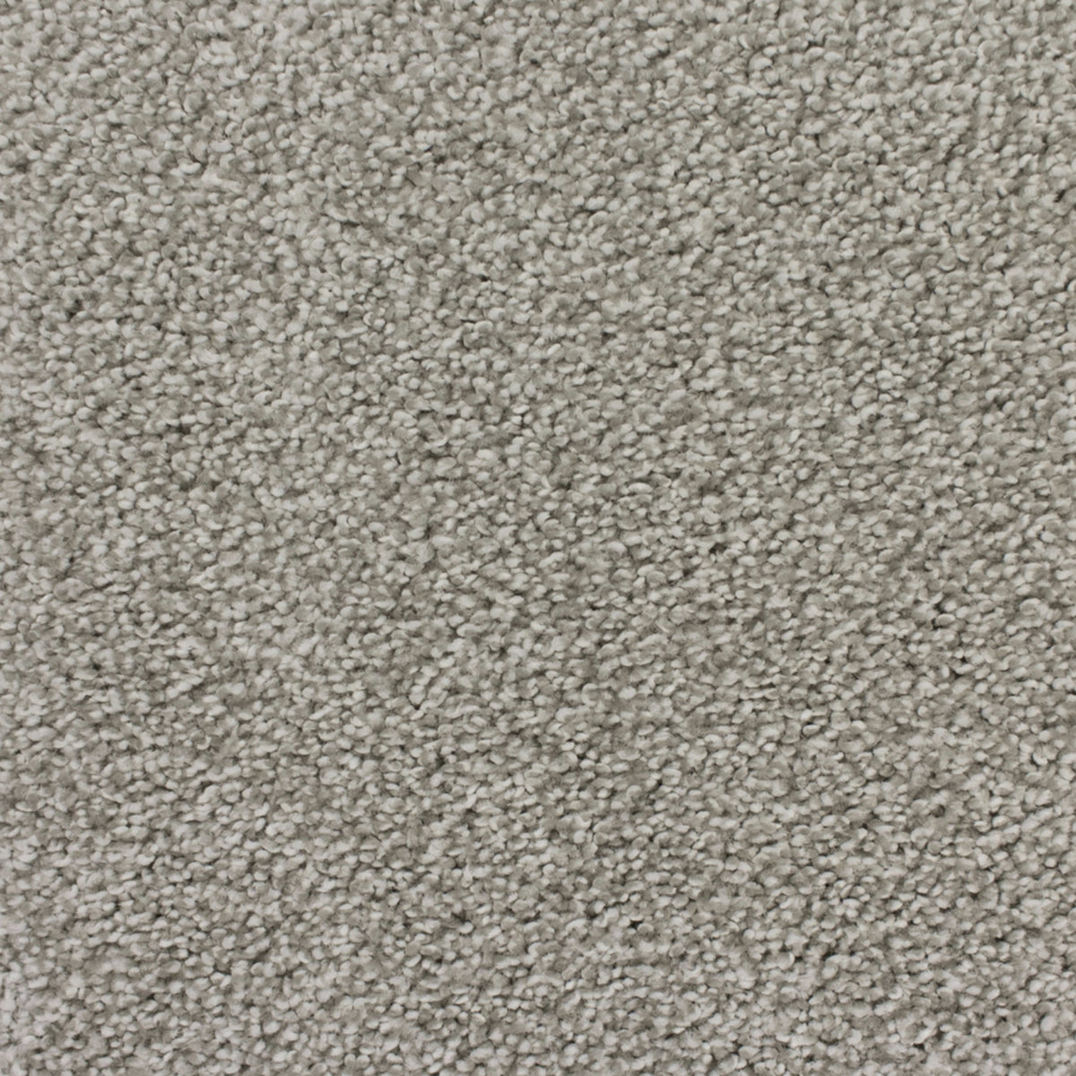 Soft Charm in Artic Gray Carpet
