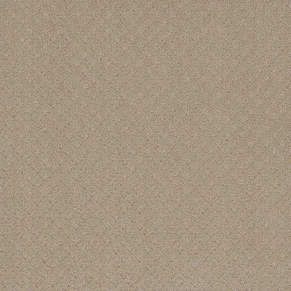 Stellar in Soft Pine Carpet