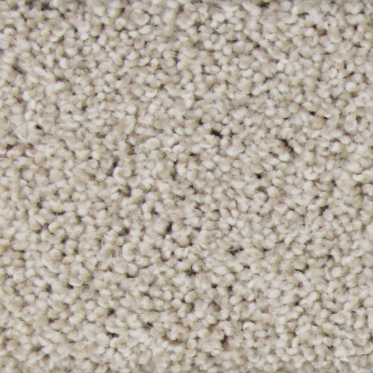 Somerset in Almond Carpet