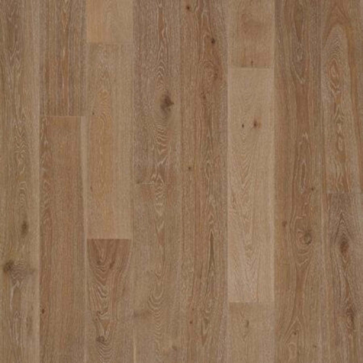 PremierLux in Splendid Oak Luxury Vinyl