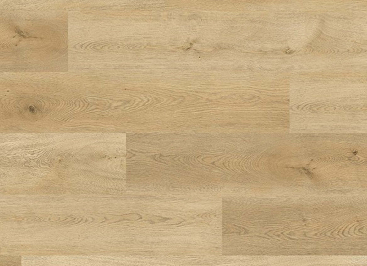 Platinum Series in Spruce