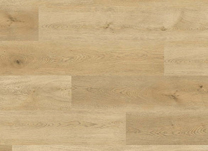 Platinum Series in Spruce