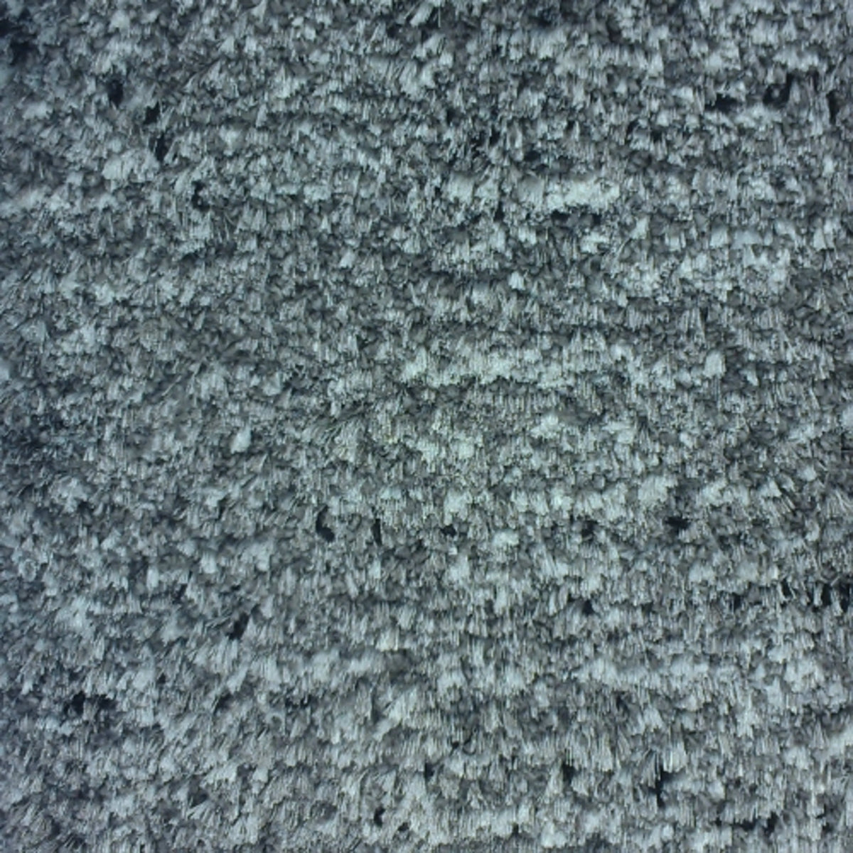 Renaissance in Squire Carpet