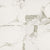 Pietra in Statuario - 24x24 Matte Tile