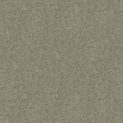 Iconic Look II in Steelbeam Carpet