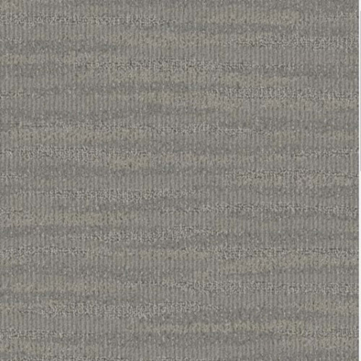 Sun And Sand in Parchment Carpet