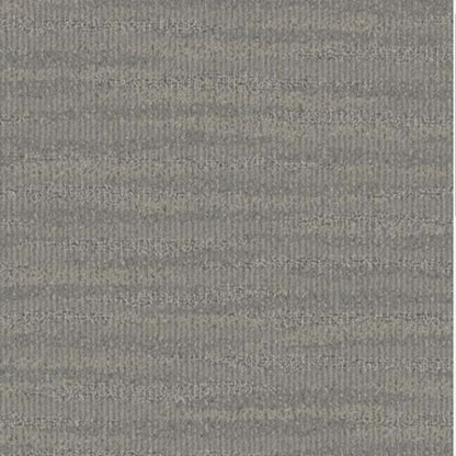 Sun And Sand in Parchment Carpet