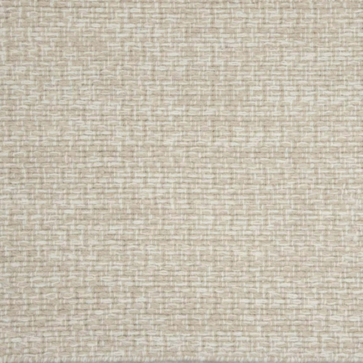 Talasari in Khaki Carpet