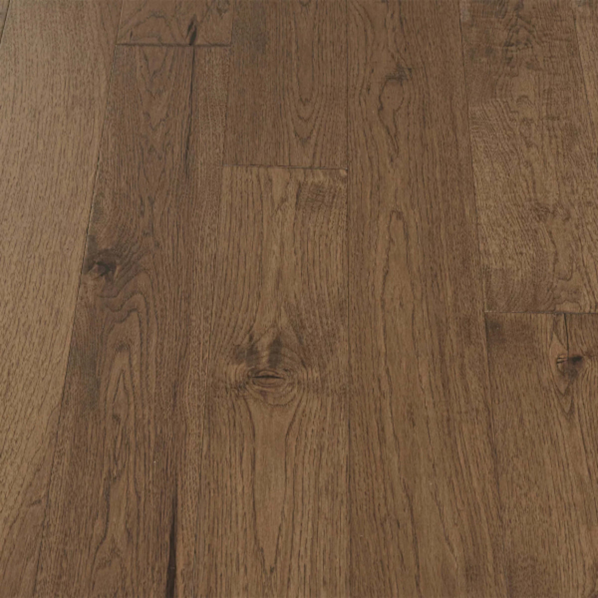 Traditions in Caramel Cream Hardwood