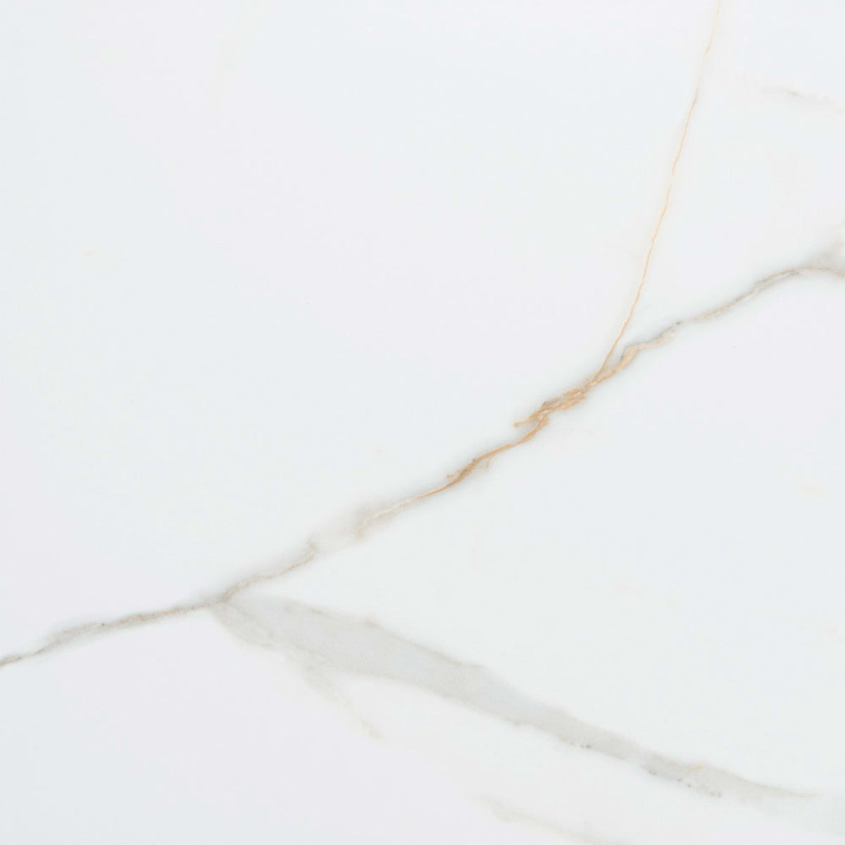 Calacatta in Gold 13x13 Tile