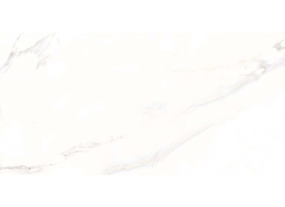 Calacatta in White 24x48