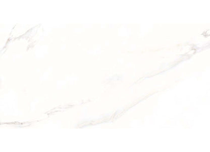 Calacatta in White 24x48
