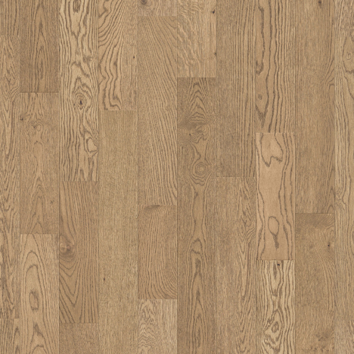 Traditions in Praline Hardwood