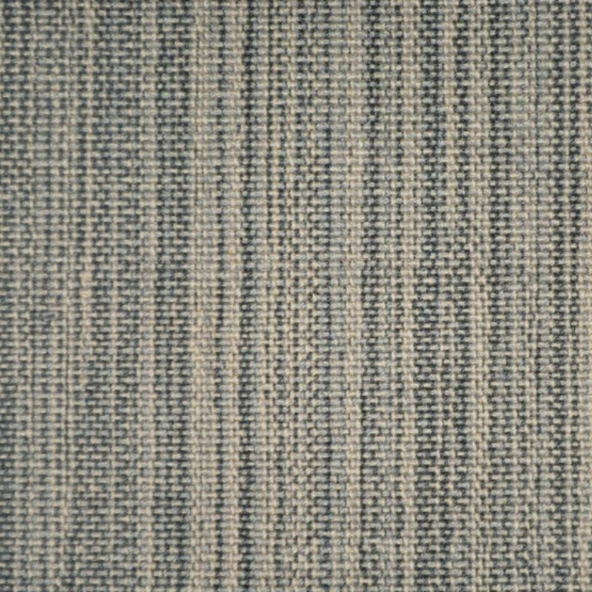 Tempe in Bobcat Carpet
