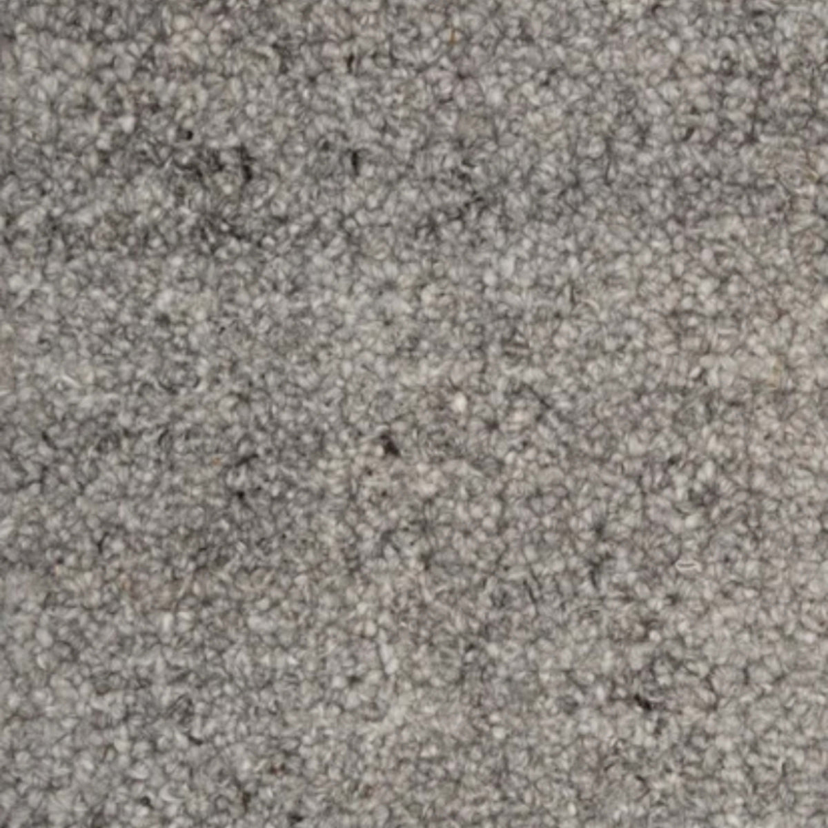Terrain in Earth Carpet