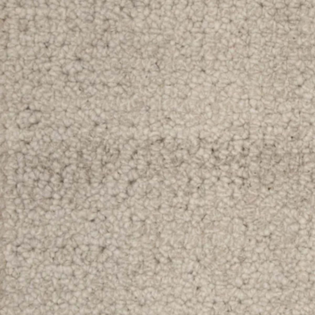Terrain in Oatmeal Carpet