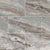 Fantasy Brown in Brown 12x24 Natural Stone
