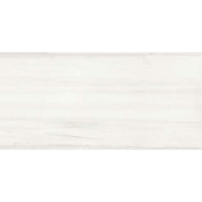 Florencia in Dolomite 12x24 Tile