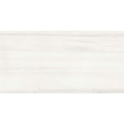 Florencia Silk in Dolomite 12x24 Tile