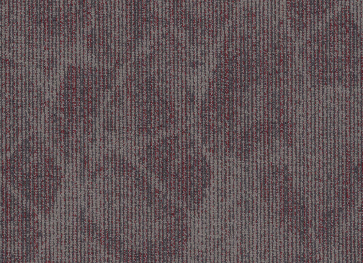 Fragments