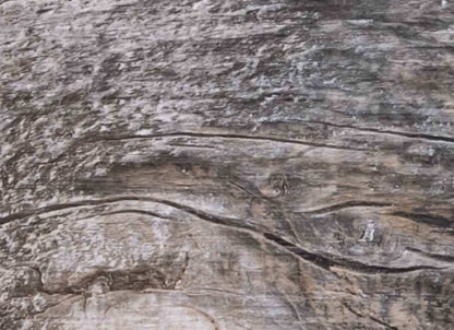 Grand Sequoia in Mid Blue