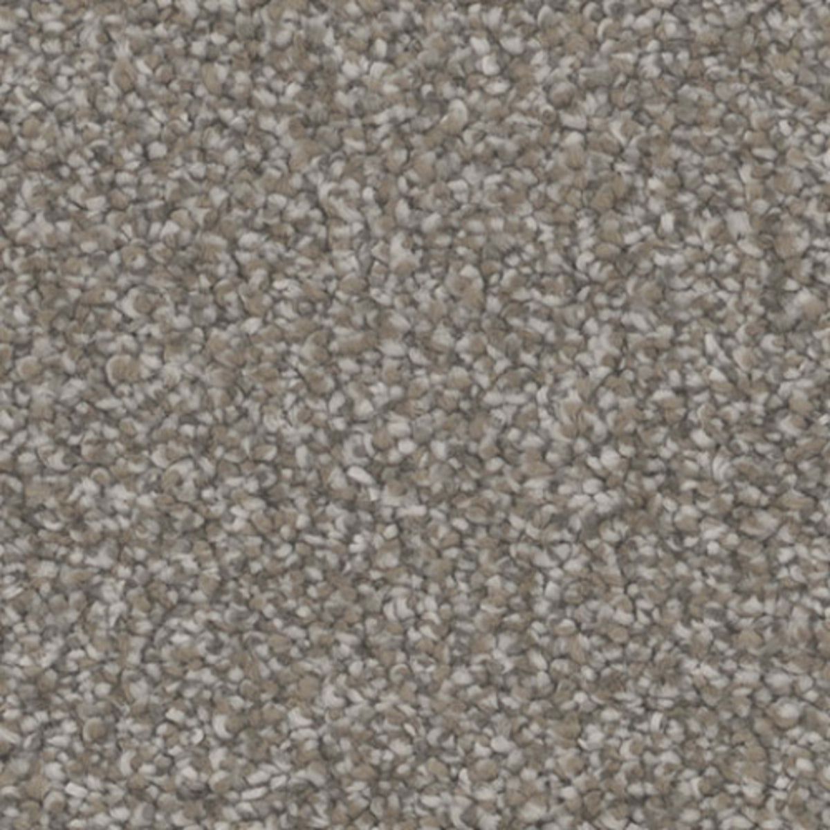 Influence in Tempt Carpet