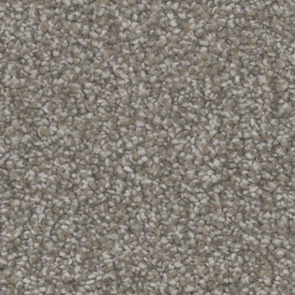 Influence in Tempt Carpet